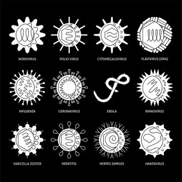 Viruses types icon set in flat style Stock Illustration