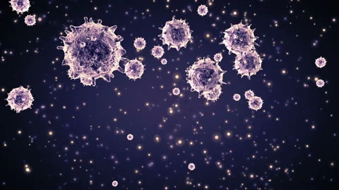 Viruses under microscope.Human immune system virus moving across screen Stock Footage 87174749