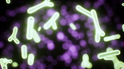 Viruses under the microscopic view for education Stock Footage 236850869