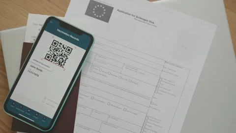 Visa Application Process with QR Code Verification Stock Footage 314003953