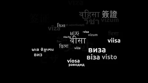 Visa Translated in 42 Worldwide Languages Endless Looping 3d Zooming Wordclou Vídeos de archivo 118960876