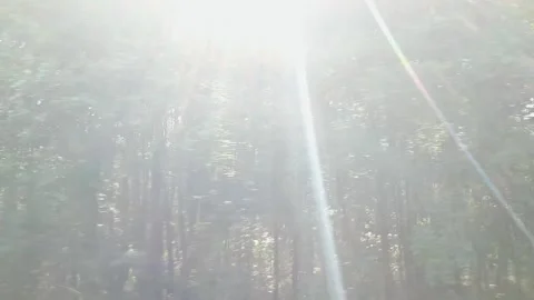 Visa from the window of a moving car to the landscape and forest. Stock Footage 157905008