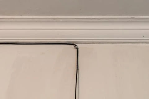 A visble cable, white background 写真素材