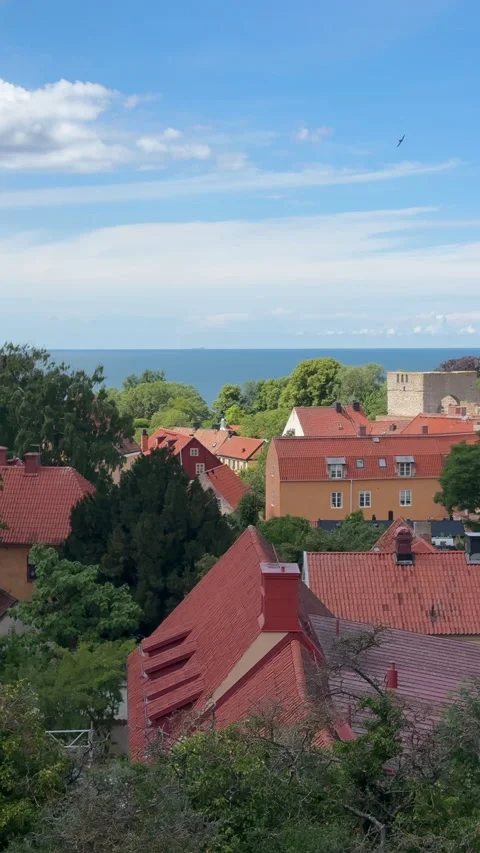 Visby Medieval City Rooftops Overlooking Baltic Sea Sweden Stock Footage 344486401