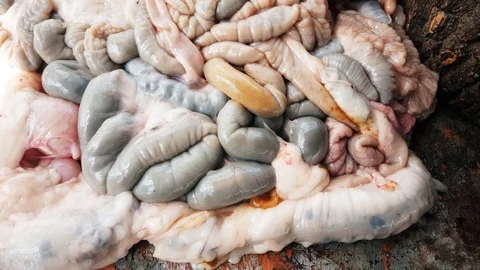 Visceral organs of a sheep sacrificed for Eid Al-Adha (Sacrifice Feast). Stock Footage 93461284