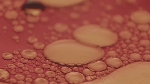 Viscous liquid forming organic forms and patterns Video stock 143858836