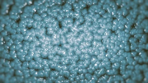 Viscous Maggot Swarming Background Stock-Footage 244932579