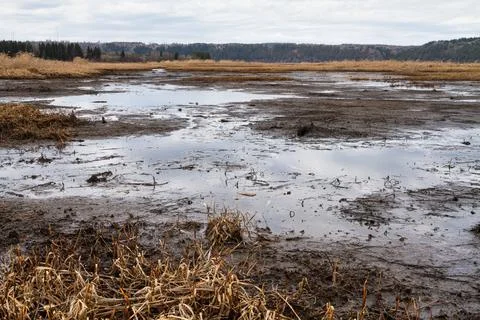 Viscous mudbank Stock Photos