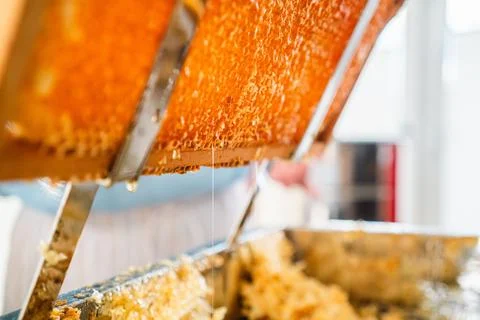 Viscouse String of Honey Dripping Down Golden Honeycombs from the Beehive Cel Stock Photos