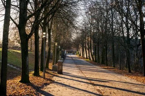 Visibility down through an avenue Stock Photos