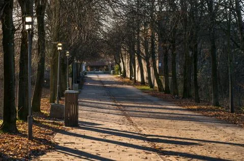 Visibility down through an avenue Stock Photos