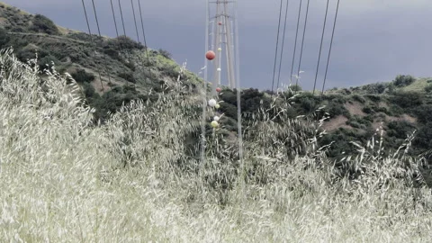 Visibility Markers Through Tall Dry Grass Video stock 243326743