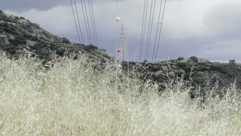 Visibility Markers Through Tall Dry Grass Video stock 243327603