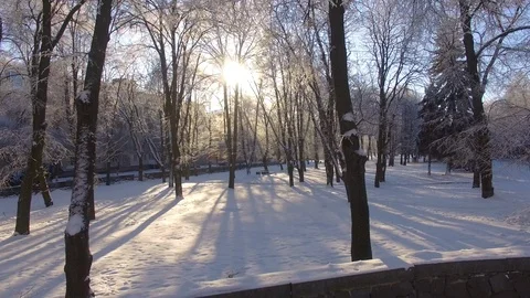 Visible path in the snow, in front of trees Stock Footage 120779376
