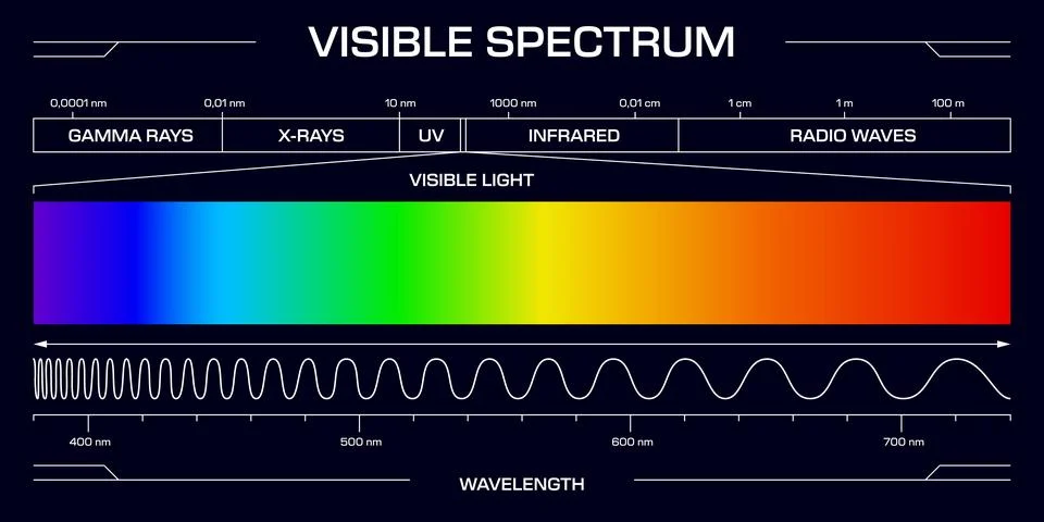 Visible spectrum light, vector wavelengths diagram Illustrazione stock