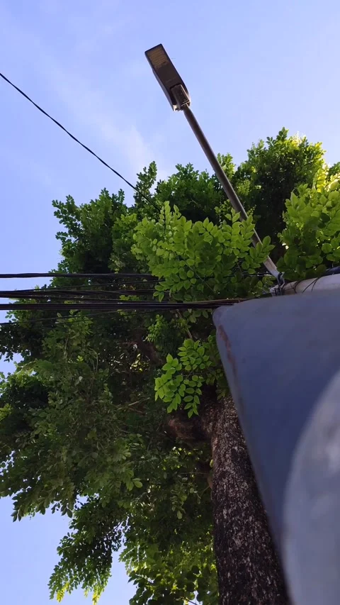 Visible from under the pillars and power lines clinging to t Stock Footage 237728334
