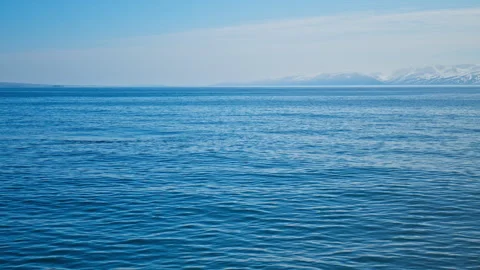 A visible whale in the cold Icelandic ocean as it breaks the surface. Stock Footage 293635673