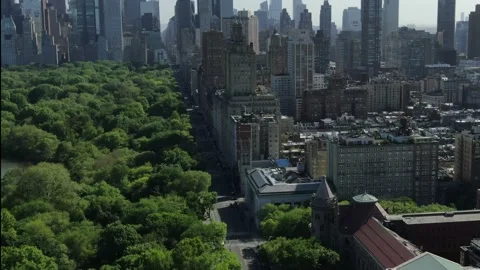 Vision of Central Park during the covid-19 pandemic Video stock 130911031