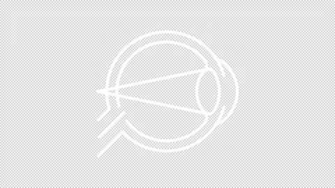 Vision diseases animation library Video stock 276528439