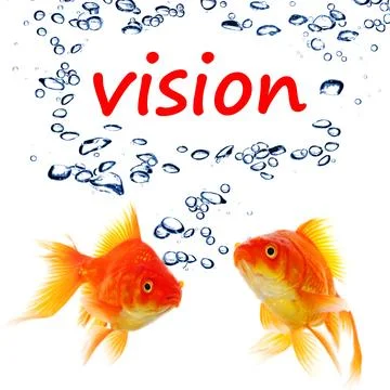 Vision Stock Photos