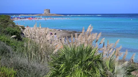Visit to a Beach With Clear Water and Distant Tower in Sardinia, Italy. Stock Footage 324861605