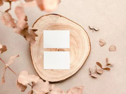 Visit card mockup with organic elements and leafs. Natural branding concept Stock Photos