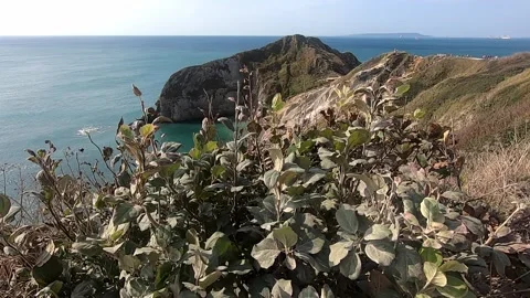 Visit Durdle Door, during COVID-19 pandemic, 2020. Stock Footage 144137975