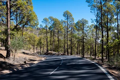 Visit of Mount Teide volcano national park in winter, clouds and fog, view .. Stock Photos