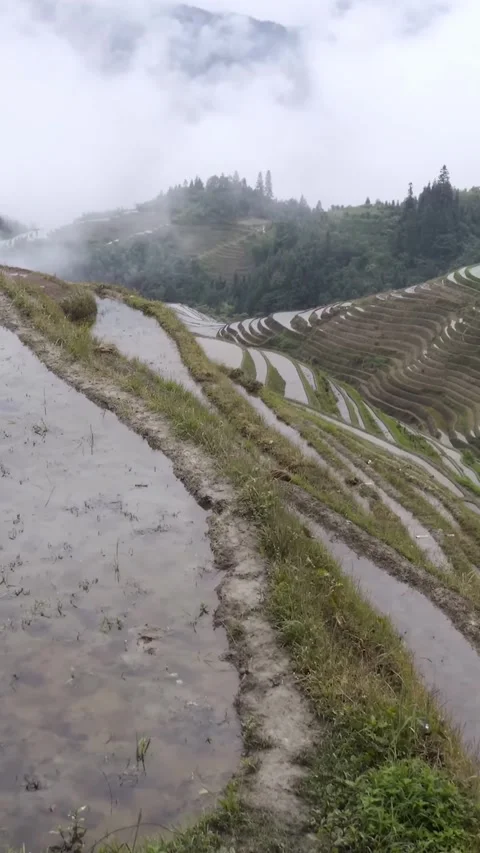 Visit rice terraces in China during a rainy day Vídeos de archivo 335073192