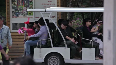 Visit the Shanghai Zoo. Stock Footage 102542739