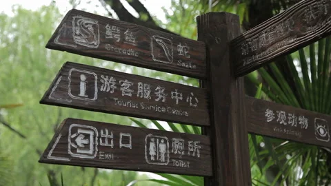 Visit the Shanghai Zoo. Stock Footage 102542931