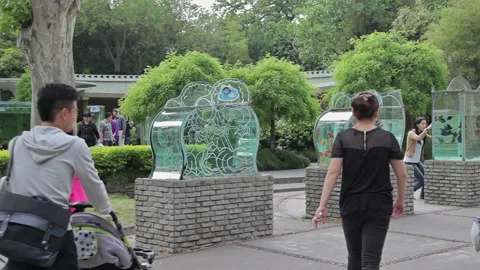 Visit the Shanghai Zoo. Stock Footage 102543656