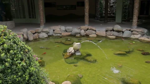 Visit the Shanghai Zoo. Stock Footage 102545728