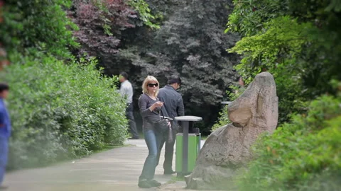 Visit the Shanghai Zoo. Stock Footage 102549512