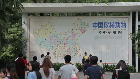 Visit the Shanghai Zoo. Stock Footage 102557979
