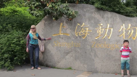Visit the Shanghai Zoo. Stock Footage 102559266