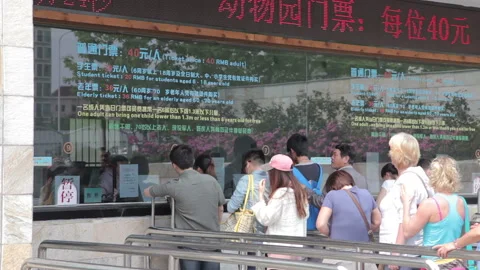 Visit the Shanghai Zoo. Stock Footage 102559881