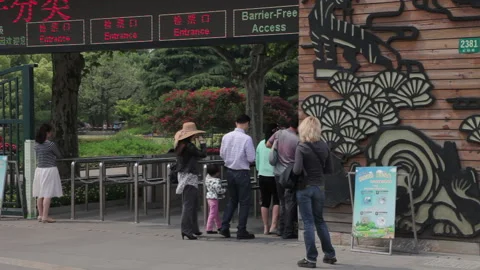 Visit the Shanghai Zoo. Stock Footage 102560255