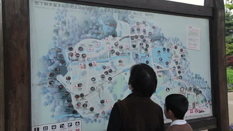 Visit the Shanghai Zoo. Stock Footage 102560501