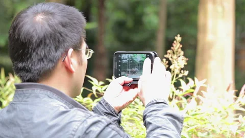 Visit the Shanghai Zoo. Stock Footage 102567845