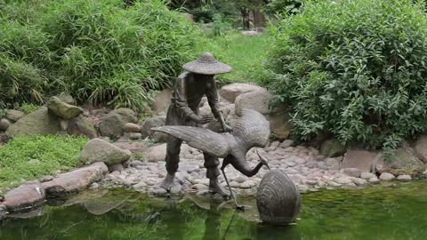 Visit the Shanghai Zoo. Stock Footage 102589889