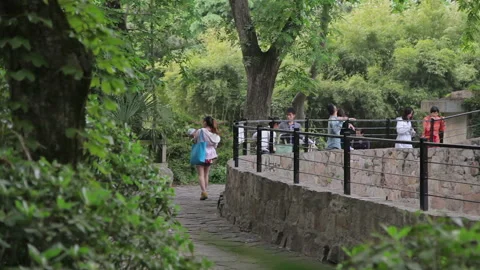Visit the Shanghai Zoo. Stock Footage 102602631