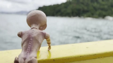 The visit trip Stock Footage 179082048