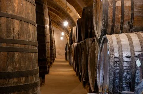Visit of wine cellar with old large oak barrels, production of fortified dr.. Stock Photos