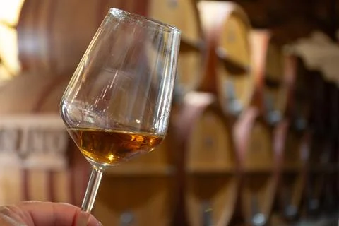 Visit of wine cellar with old large oak barrels, hand holding glass of fort.. Stock Photos