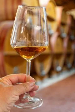 Visit of wine cellar with old large oak barrels, hand holding glass of fort.. Stock Photos