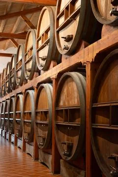 Visit of wine cellar with old large oak barrels, production of fortified dr.. Stock Photos