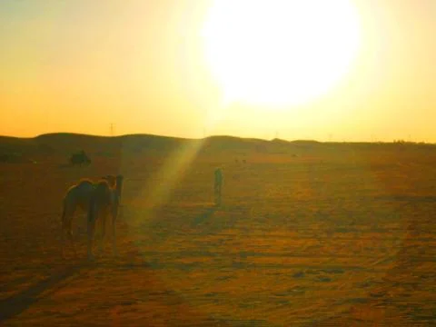 Visiting desert during winter Stock Photos