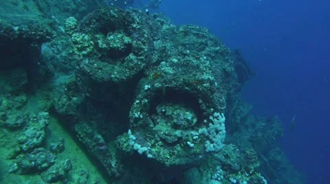 Visiting old sunken ship in red sea Stock Footage 11114734