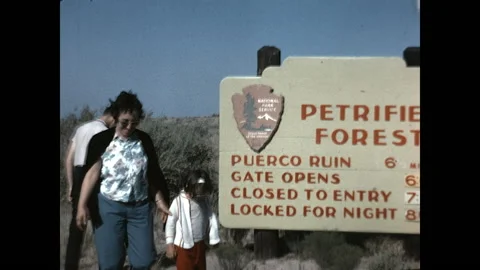 Visiting the Petrified Forest 1965 Stock Footage 220088387